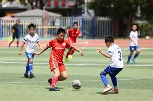 达瓦萨里和,阿卜杜勒哈,米德或担纲,世界杯小组赛,2026世界杯,赛程安排,参赛队伍,比赛时间